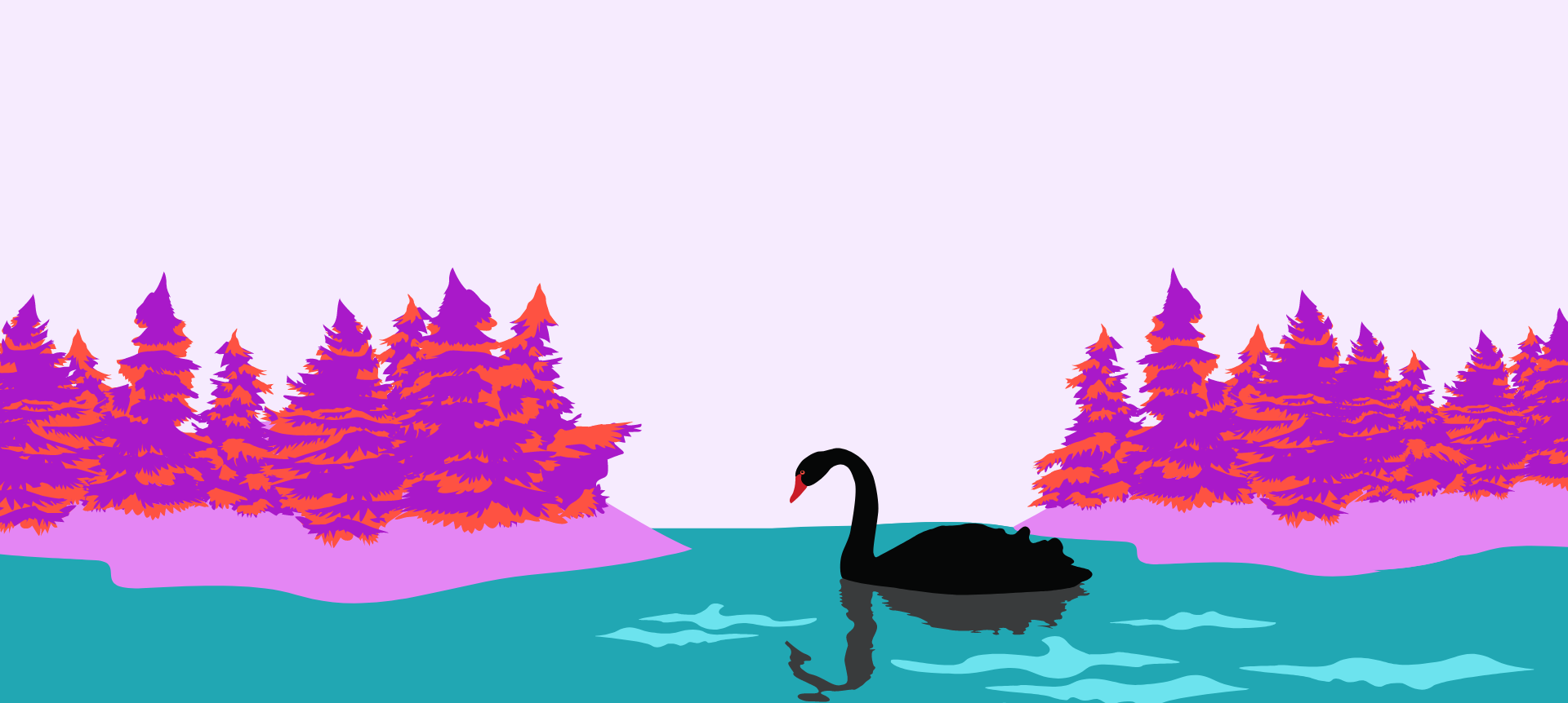 Illustrator of a black swan swimming in a lake surrounded by purple trees.